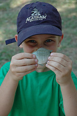 Tiny Bluegill photo courtesy of flickr member jlhbrown