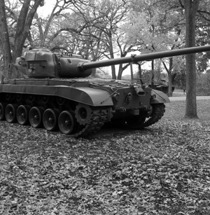 Photo by Jose San Roman of West Chicago, IL