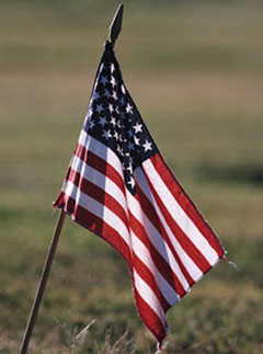 Memorial Day Flag