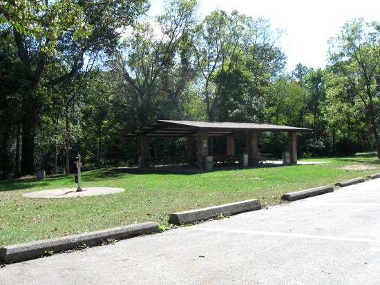 Columbia Woods Grove #2